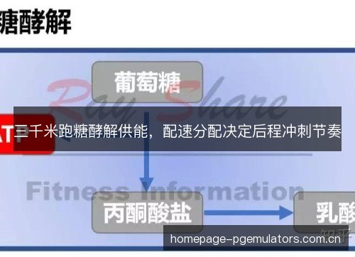 三千米跑糖酵解供能，配速分配决定后程冲刺节奏
