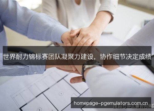 世界耐力锦标赛团队凝聚力建设,协作细节决定成绩 世界耐力锦标赛团队凝聚力建设,协作细节决定成绩